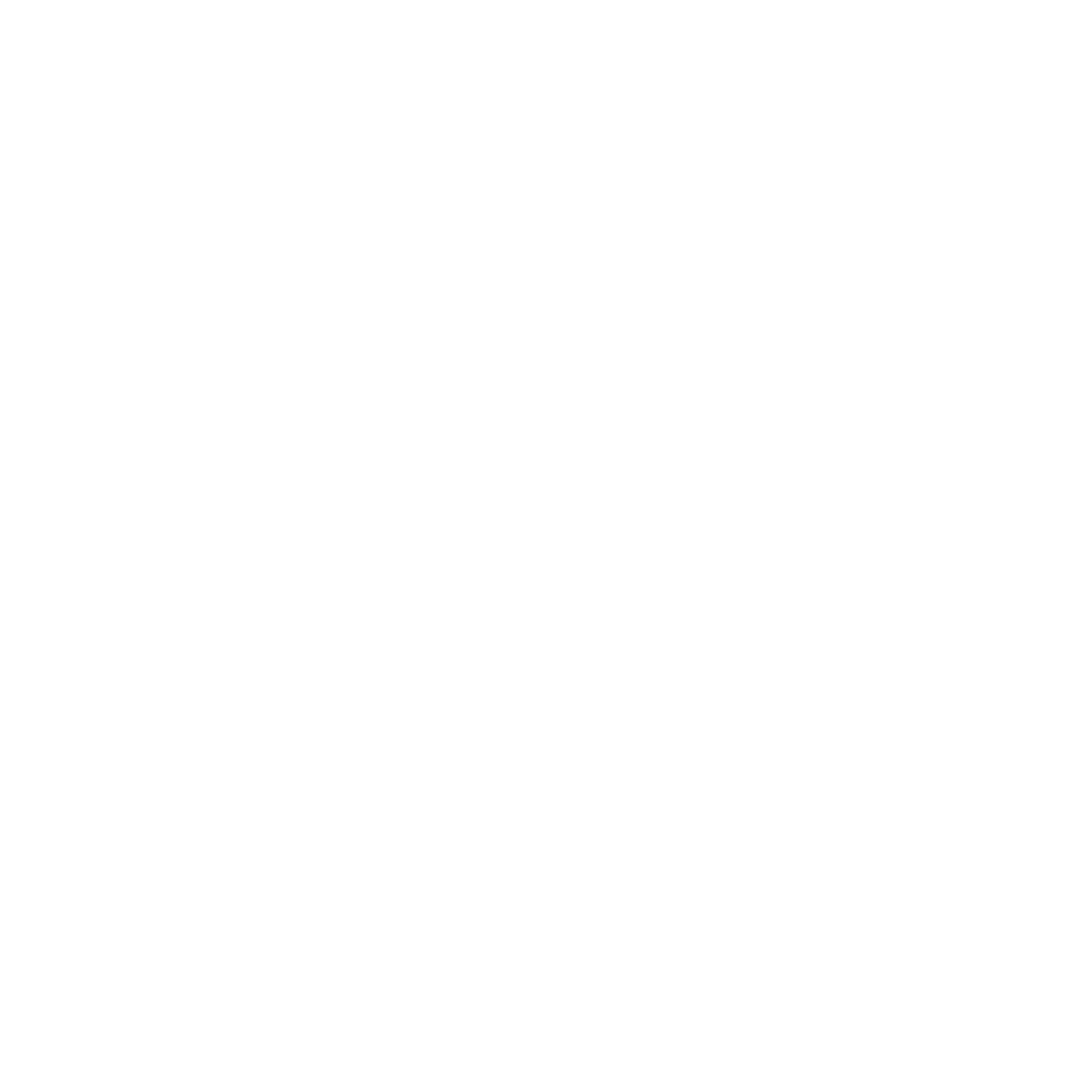 icon_angular_wht